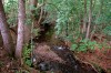 Luisenthal - Ohrdruf Bild 1