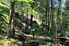 Neue Ausspanne - Rennsteig - Pflaster - Tambach-Dietharz Bild 1