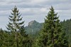 Oberhof - Zellaer Leube - Grenzadler Bild 1