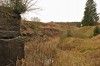 Bromacker - Saurierpfad - Georgenthal Bild 2