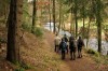 Bromacker - Saurierpfad - Georgenthal Bild 4