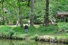 Langenhain - Emsetal - Sättel- und Mechterstädt Bild 1