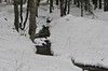 Oberhof - Ohratalsperre - Luisenthal Bild 4
