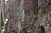 Oberhof - Ohratalsperre - Luisenthal Bild 5