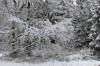 Rodebachmühle - Steiger - Wechmarer Hütte Bild 3