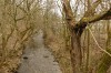 Ohrdruf - Ohra Bild 4