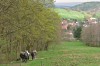 Tabarz - Fischbach - Wachkopf Bild 5