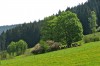 Schwarzatal - Mellenbach-Glasbach Bild 4