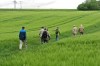Molsdorf - Möbisburg - Bischleben Bild 5