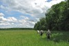 Reichenbach - Große Harth - Tüngeda Bild 6