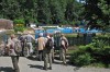 Rastenberg - Finne Bild 3