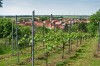 Rastenberg - Finne Bild 6
