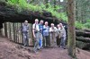 Tambach-Dietharz - Mittelwasserteich Bild 3