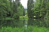 Tambach-Dietharz - Mittelwasserteich Bild 4