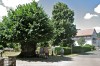 Schmerbach - Thal Bild 3