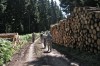 Oberhof Bild 3