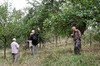Neudietendorf - Molsdorf - Kornhochheim Bild 3