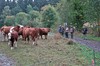 Schwarzhausen - Emsetal - Sondra - Sättelstädt - ... Bild 2