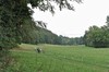 Schwarzhausen - Emsetal - Sondra - Sättelstädt - ... Bild 1