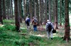 Georgenthal - Paulfeld - Catterfeld Bild 2