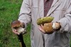 Georgenthal - Paulfeld - Catterfeld Bild 1