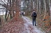 Tabarz - Otterbachsteiche - Deysingslust Bild 2