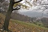 Tabarz - Otterbachsteiche - Deysingslust Bild 3