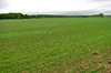 Georgenthal - Hirzberg - Herrenhof Bild 5