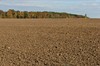 Weimar - Webicht Bild 3