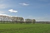 Weimar - Webicht Bild 2