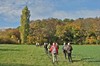 Weimar - Webicht Bild 4