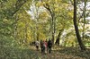 Weimar - Webicht Bild 1