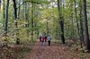 Weimar - Webicht Bild 5