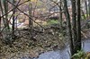 Oberes Schwarzatal / Schwarzburg Bild 1