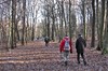 Oberweimar - Webicht - Tiefurt - Weimar Bild 1