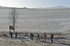 Langenhain - Deysingslust - Waltershausen Bild 2