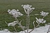 Wölfis - Ohrdruf Bild 8