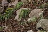 Rund um Schmalkalden Bild 5