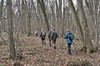 Großschwabhausen - Märzenbecher - Jena Bild 2