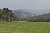 Großschwabhausen - Märzenbecher - Jena Bild 6