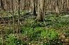 Großschwabhausen - Vollradisroda - Thüringenweg - Magdala Bild 3