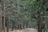 Heuberg - Rennsteig - Kleiner Inselsberg - Bad Tabarz Bild 2