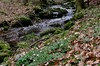 Heuberg - Rennsteig - Kleiner Inselsberg - Bad Tabarz Bild 1