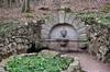 Heuberg - Rennsteig - Kleiner Inselsberg - Bad Tabarz Bild 5
