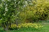 Hopfgarten - Gaberndorf / Weimar Bild 6