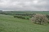 Hopfgarten - Gaberndorf / Weimar Bild 5