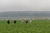 Hopfgarten - Gaberndorf / Weimar Bild 7