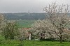 Hopfgarten - Gaberndorf / Weimar Bild 8