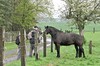 Hopfgarten - Gaberndorf / Weimar Bild 9