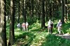 Oberhof - Veilchenbrunnen - Sterngrund Bild 2